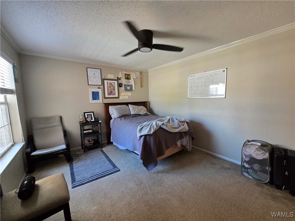 120 15th Street #113, Tuscaloosa, Alabama image 8