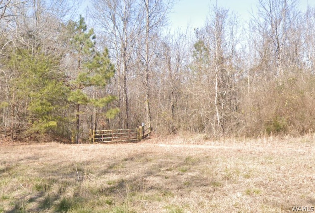1625 County Road 130 - Photo 3