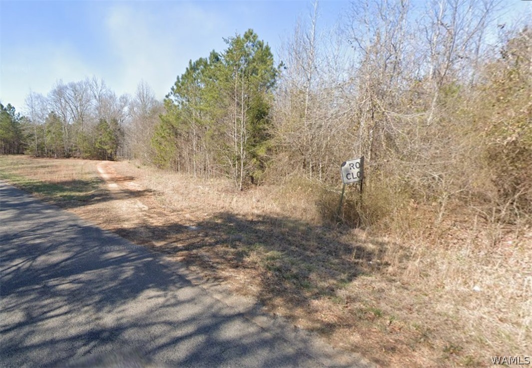 1625 County Road 130 - Photo 2
