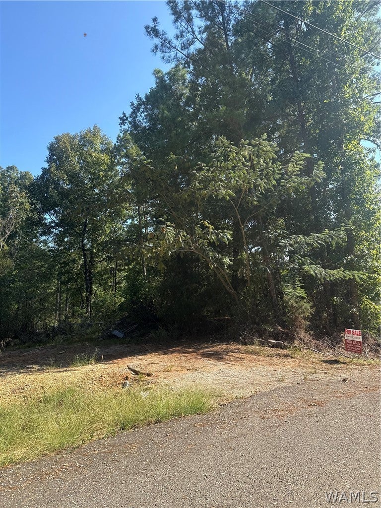 5237 Eastern Ridge circle