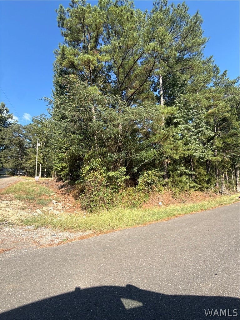 5237 Eastern Ridge circle