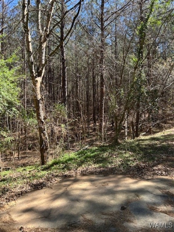 Kensington Boulevard, McCalla, Alabama image 4