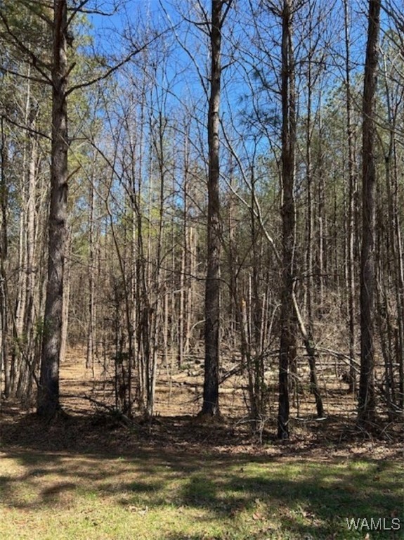 Kensington Boulevard, McCalla, Alabama image 1