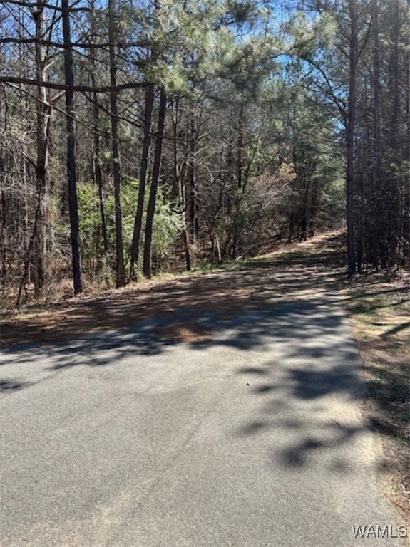 Kensington Boulevard, McCalla, Alabama image 8