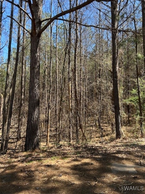 Kensington Boulevard, McCalla, Alabama image 2