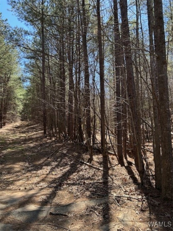Kensington Boulevard, McCalla, Alabama image 5