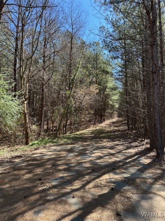Kensington Boulevard, McCalla, Alabama image 3