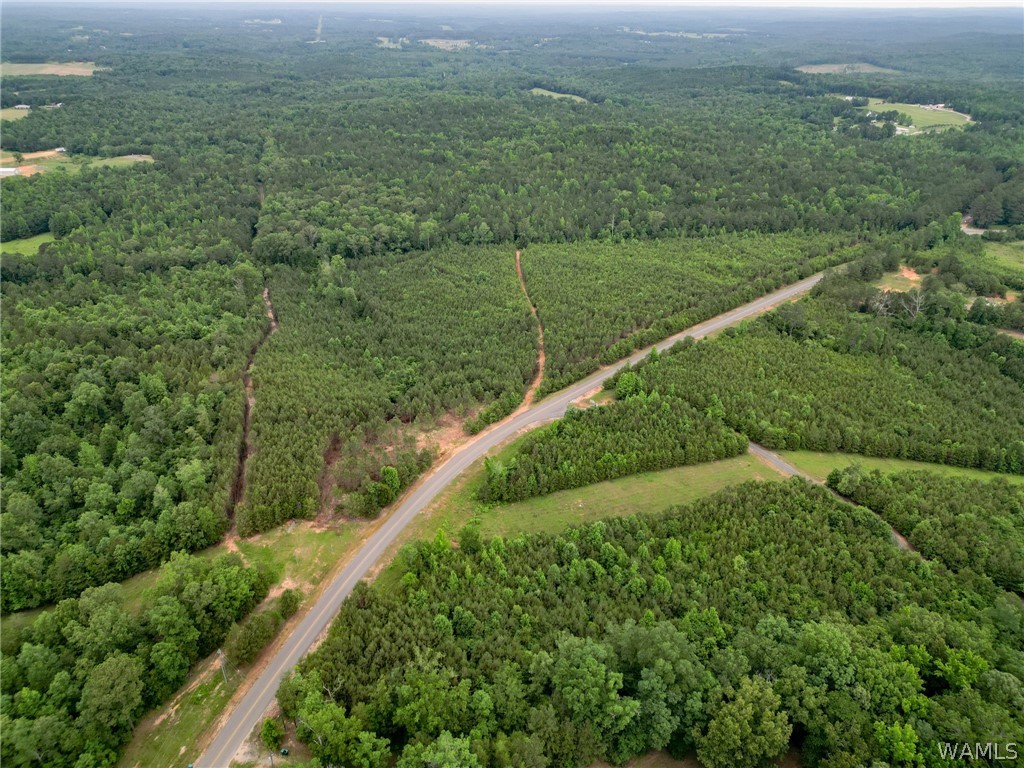 Lot 4 John Swindle Road, North Port, Alabama image 22