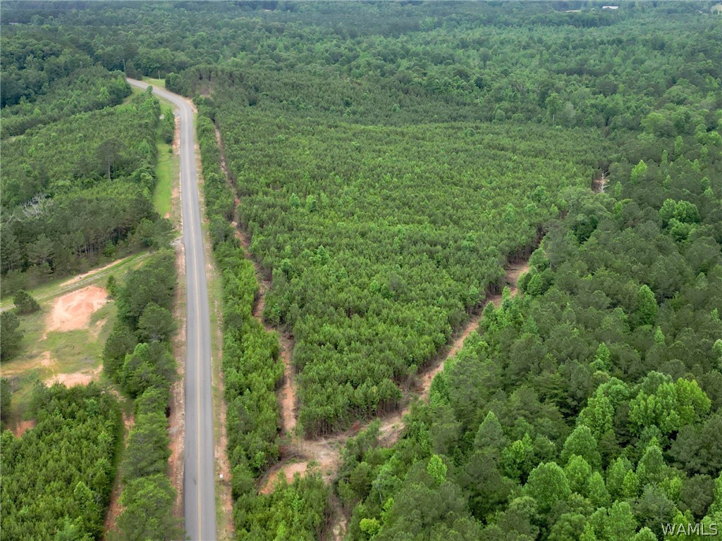 Lot 4 John Swindle Road, North Port, Alabama image 7