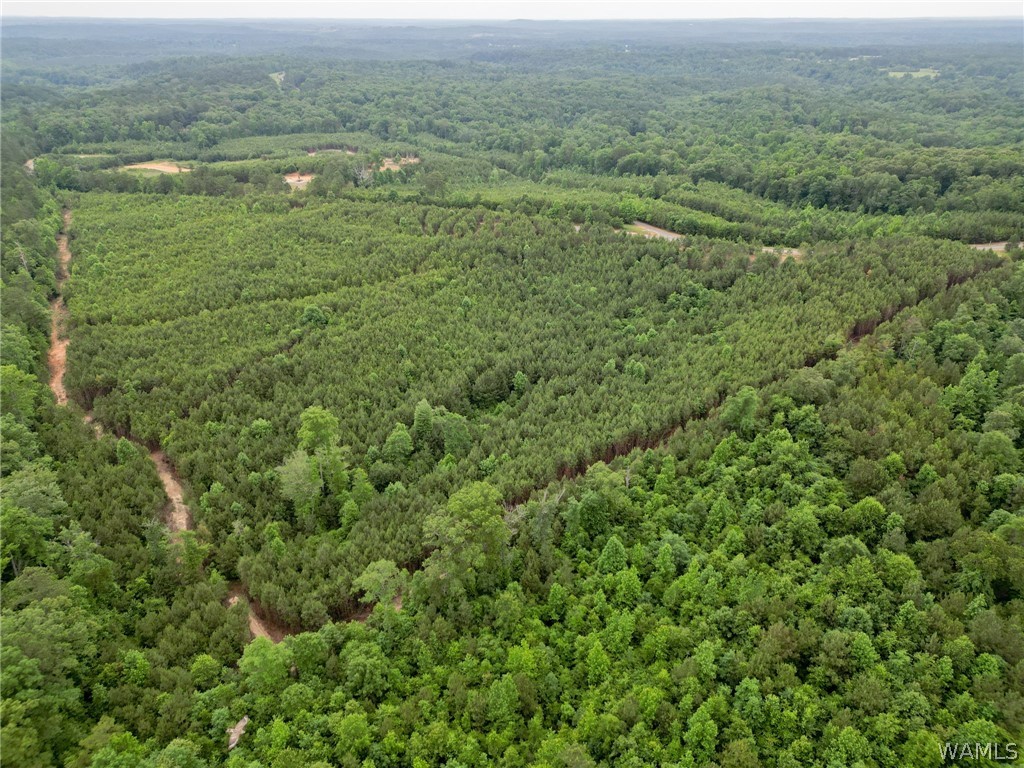 Lot 4 John Swindle Road, North Port, Alabama image 10