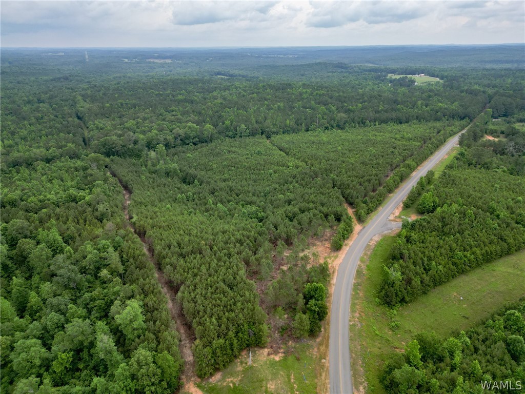 Lot 4 John Swindle Road, North Port, Alabama image 15