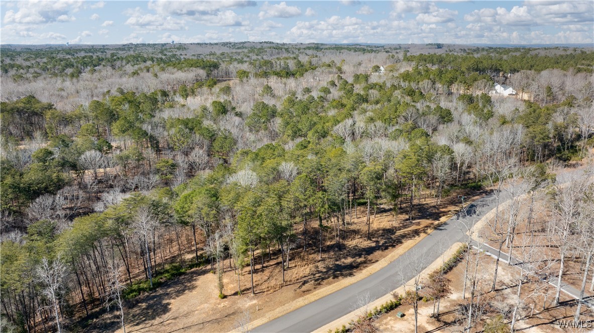 14180 Watercolor Drive, North Port, Alabama image 19