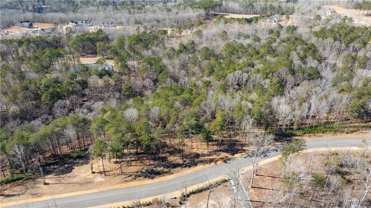 14180 Watercolor Drive, North Port, Alabama image 5