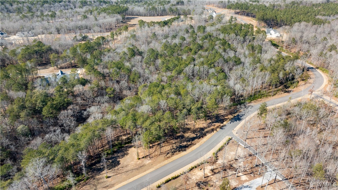 14180 Watercolor Drive, North Port, Alabama image 17