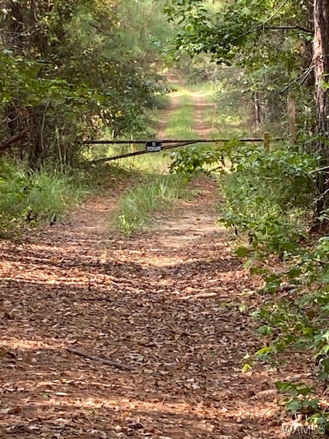 Robertson Road, Elrod, Alabama image 16