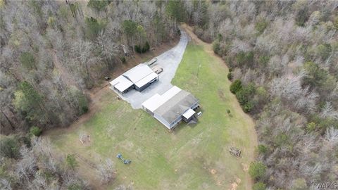 Homes For Sale - 3140 County Road 32<br/> Greensboro, AL 36744