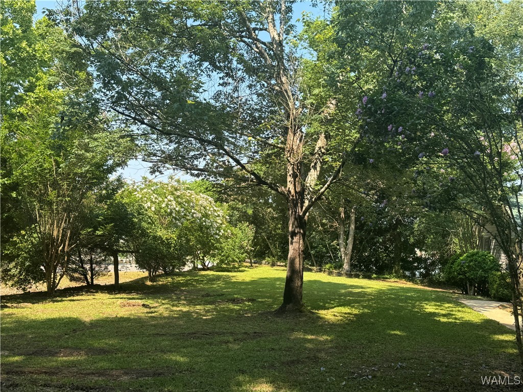 14141 Boswell Road, Coker, Alabama image 3