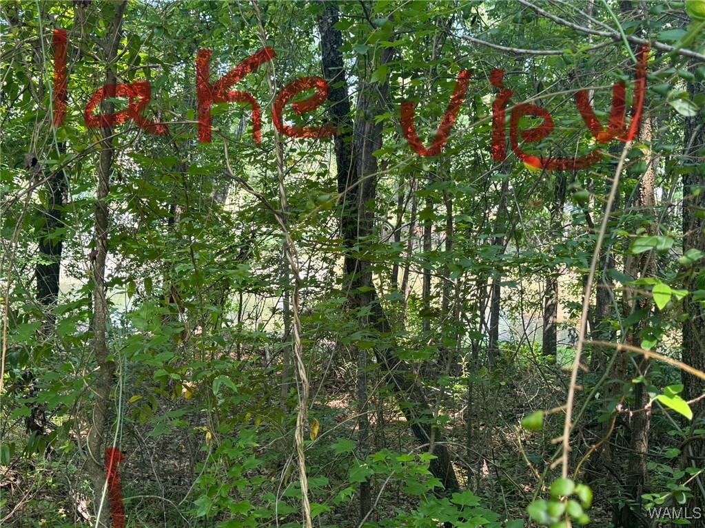 14141 Boswell Road, Coker, Alabama image 30