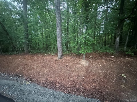 Vacant Land For Sale - Crest Drive<br/> McCalla, AL 35111