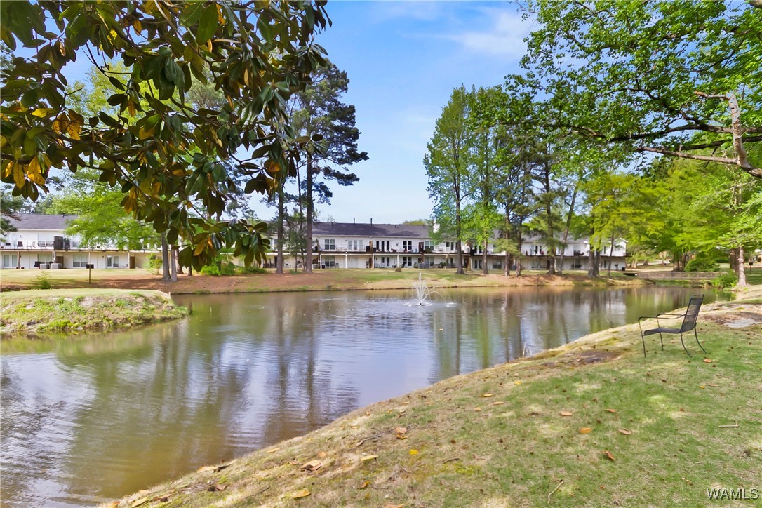 1610 Hollow Lane Ln, Tuscaloosa, Alabama image 25