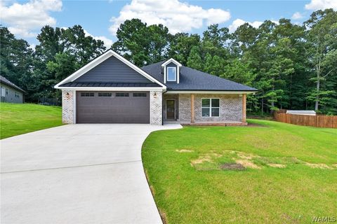 Homes For Sale - 13550 Vineyard Way<br/> Tuscaloosa County, North Port, AL 35475