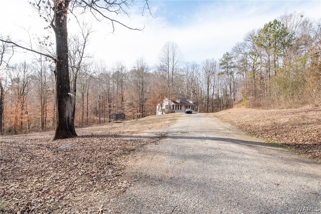 7650 Hargrove Road, Cottondale, Alabama image 42