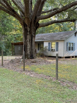 2530 COUNTY ROAD 45, REFORM, AL 35481 - Image cb4e662881adf9cf15cefc97b5ae7209/133416089
