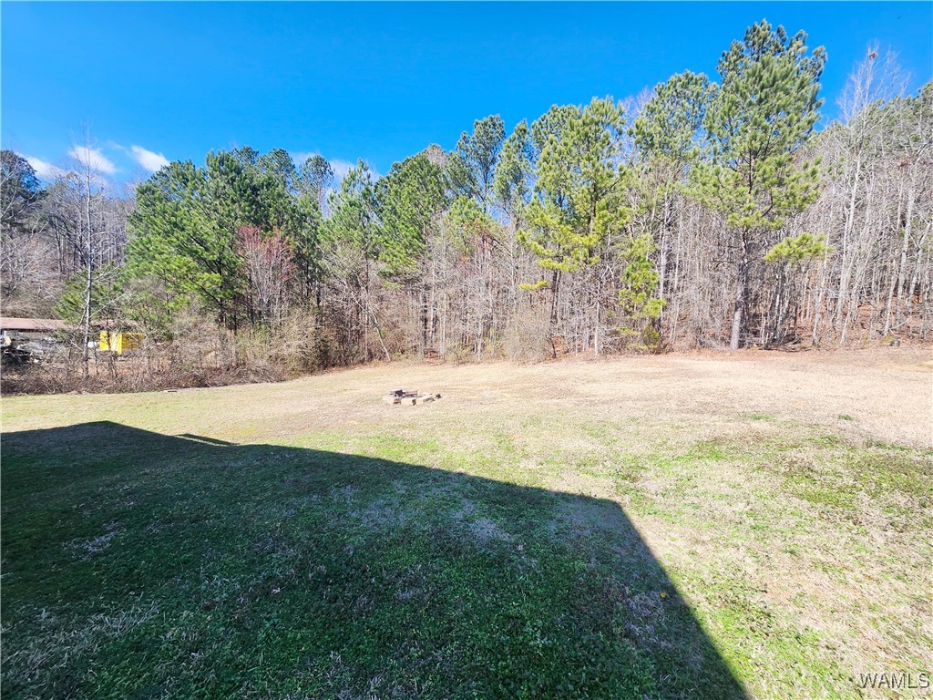 975 Moonlite Drive Dr, Odenville, Alabama image 36