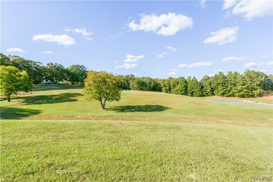 Lot 16 Highland Lakes Circle, North Port, Alabama image 4