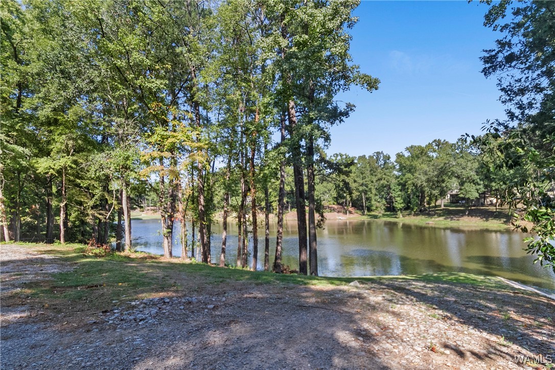 923 Overlook Road, Tuscaloosa, Alabama image 4