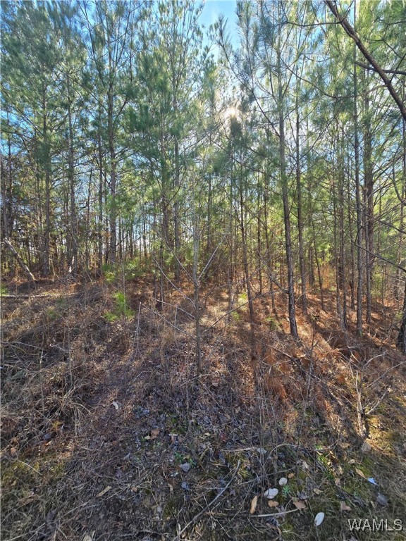 23 Timbertop Lane, Fosters, Alabama image 1