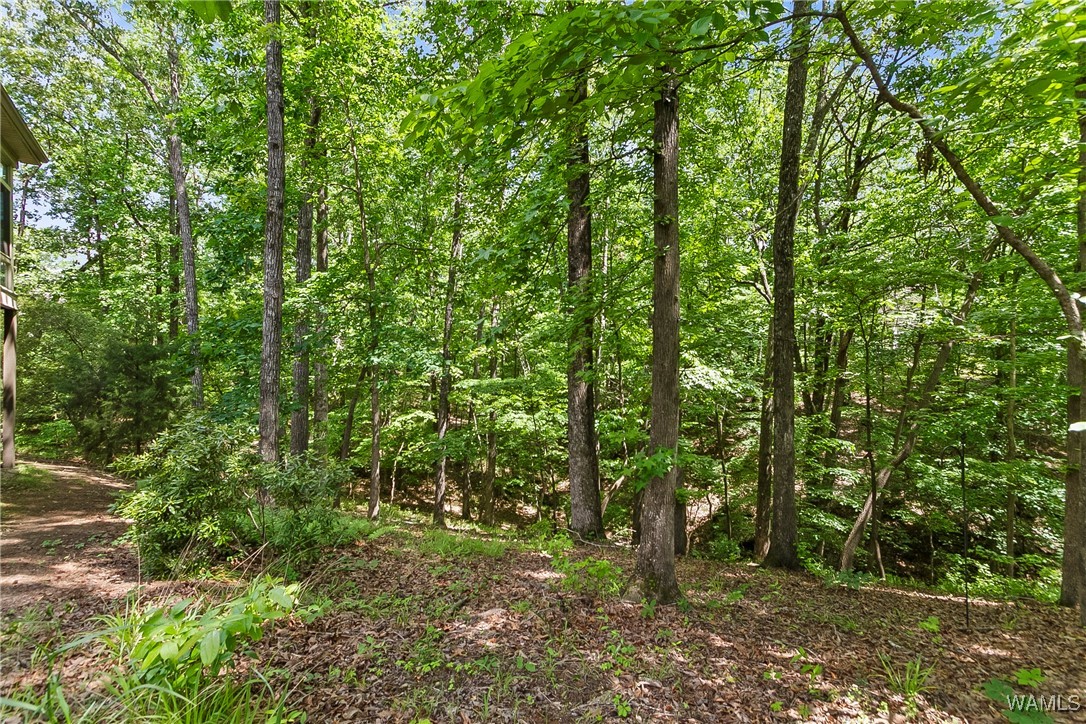 3939 Versailles Lane, Tuscaloosa, Alabama image 41