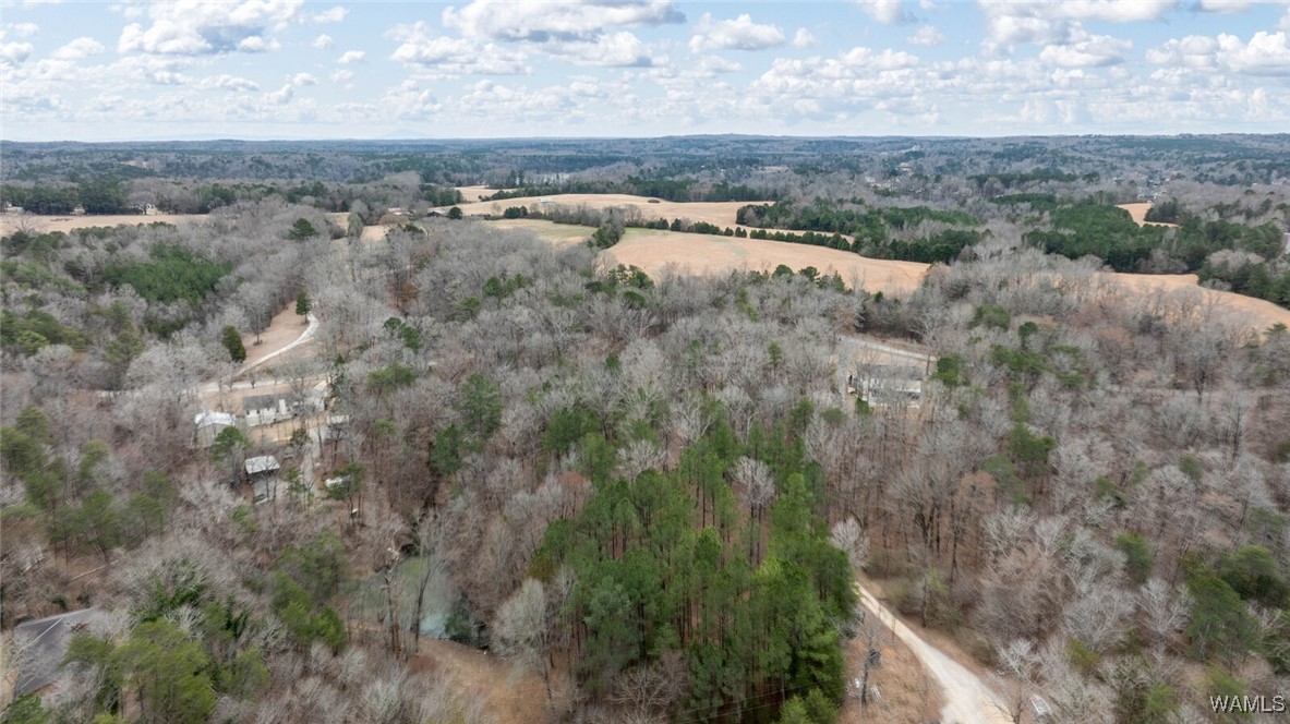 00 Country Club Drive, North Port, Alabama image 6