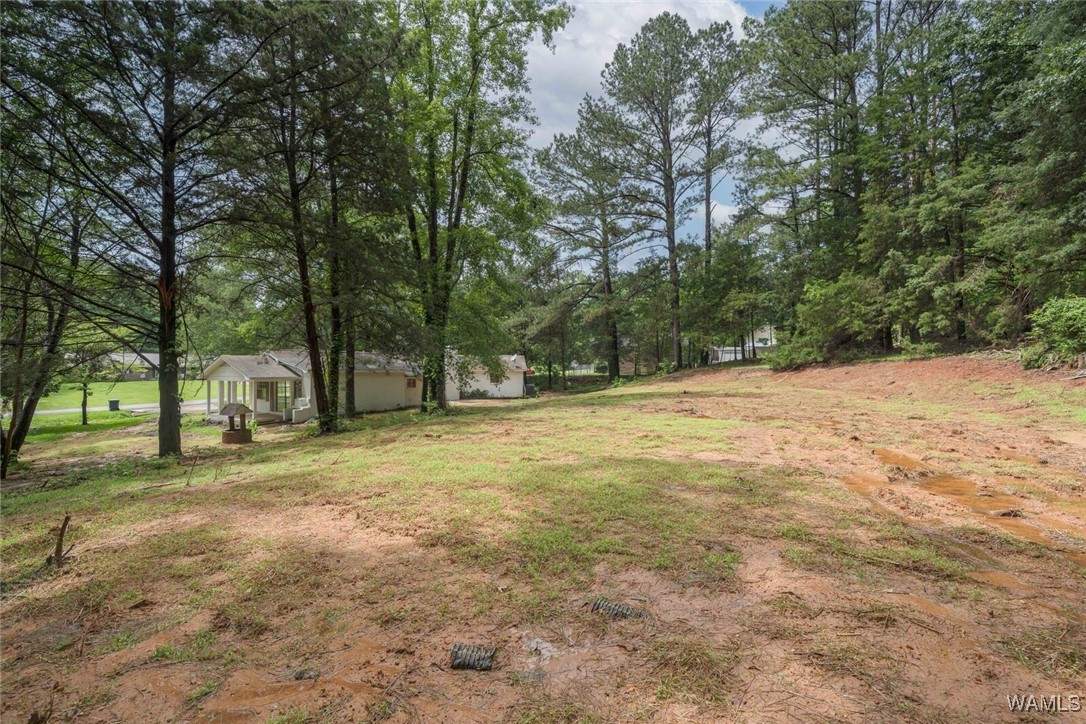 4205 Cloverdale Estate, North Port, Alabama image 27