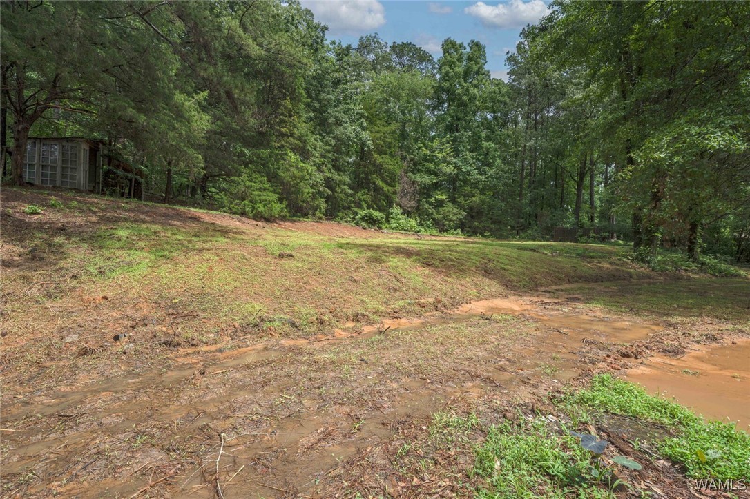 4205 Cloverdale Estate, North Port, Alabama image 25