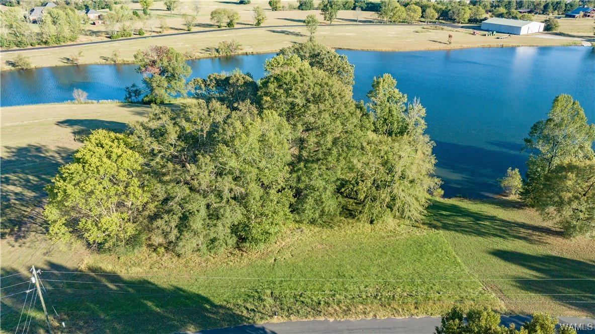 1 Hilltop Estates, North Port, Alabama image 8