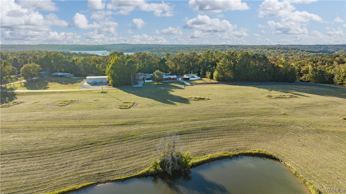 1 Hilltop Estates, North Port, Alabama image 43