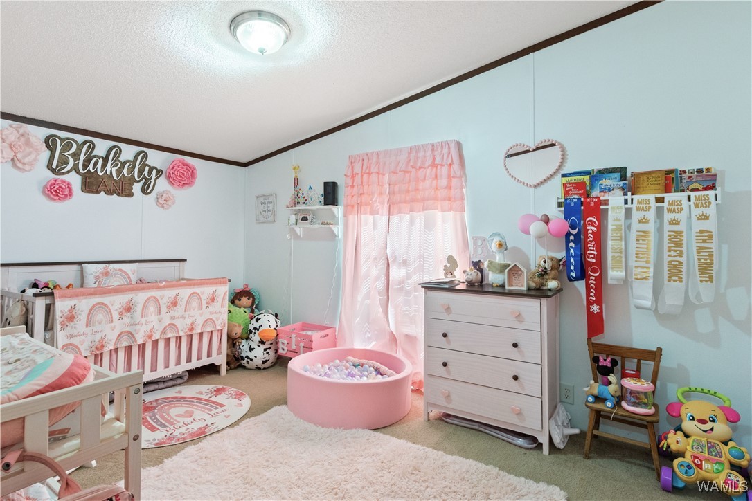 20349 Tanya Drive Dr, McCalla, Alabama image 29