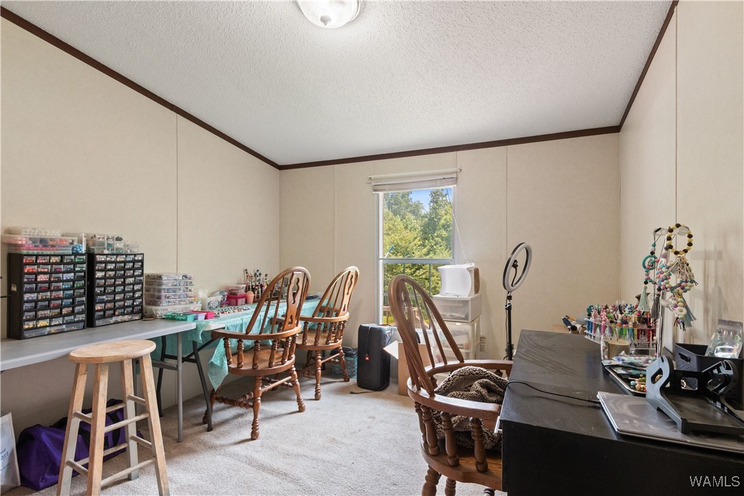 20349 Tanya Drive Dr, McCalla, Alabama image 27