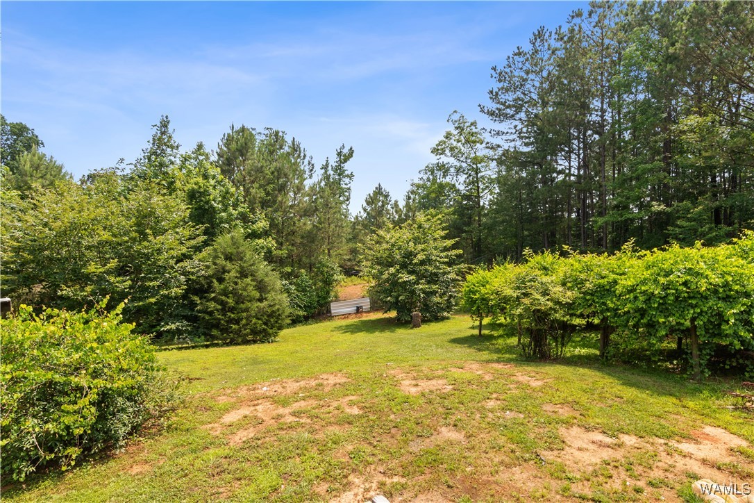 20349 Tanya Drive Dr, McCalla, Alabama image 34