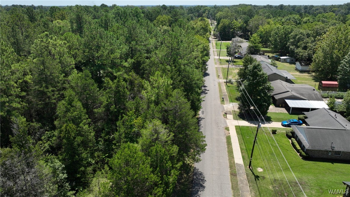 000 Barrett, Selma, Alabama image 3