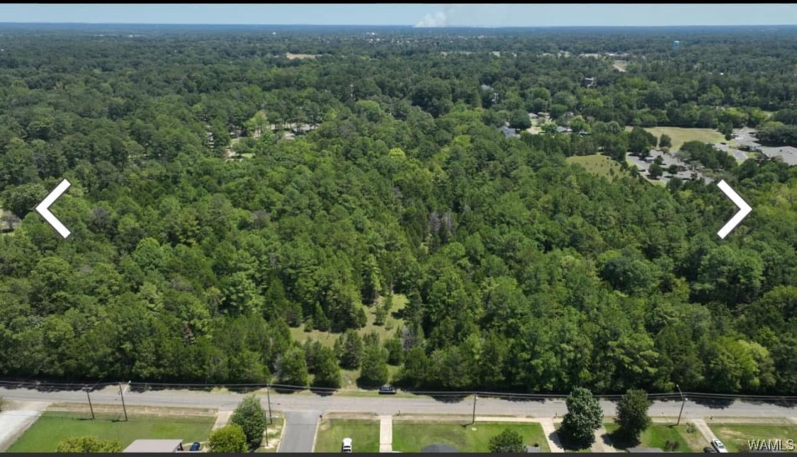 000 Barrett, Selma, Alabama image 5