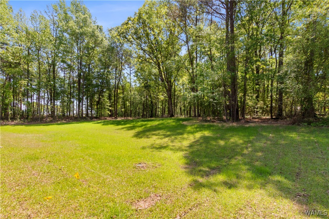 11138 Clear Lake Drive, North Port, Alabama image 29