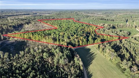 TBD Zion Shiloh rd Vernon AL 35592