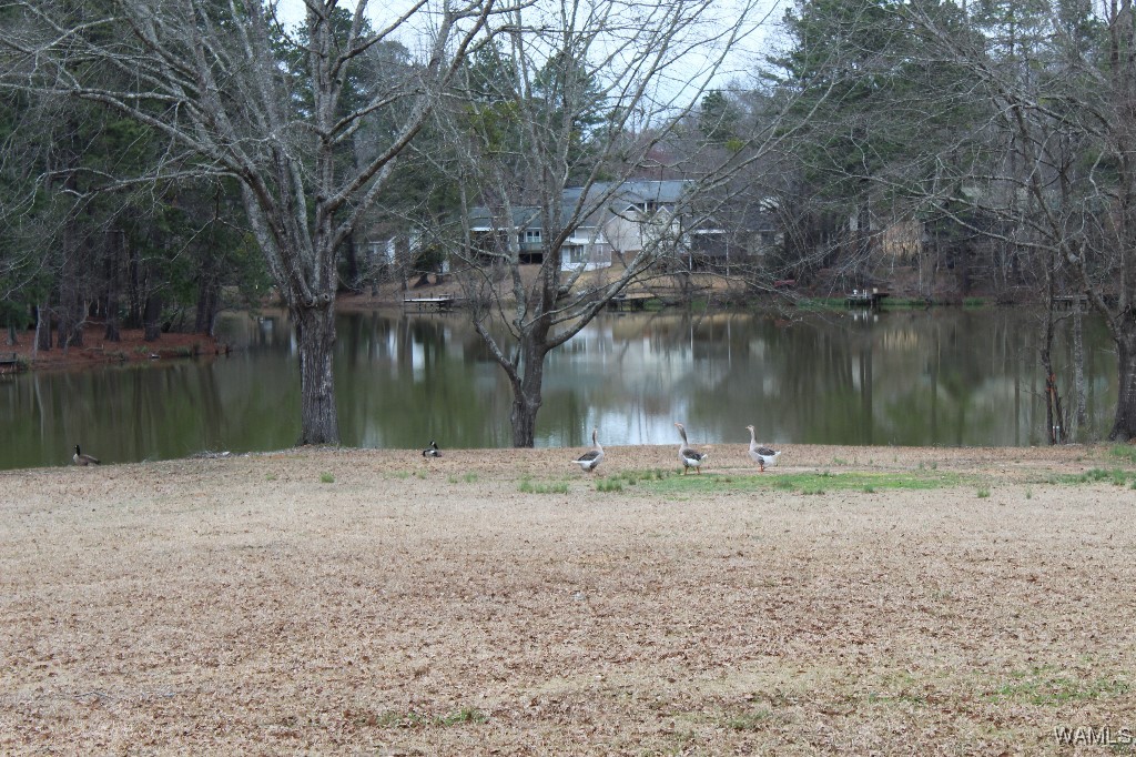 708 Sable Lane, North Port, Alabama image 38