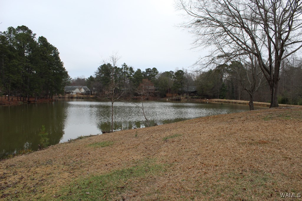 708 Sable Lane, North Port, Alabama image 35