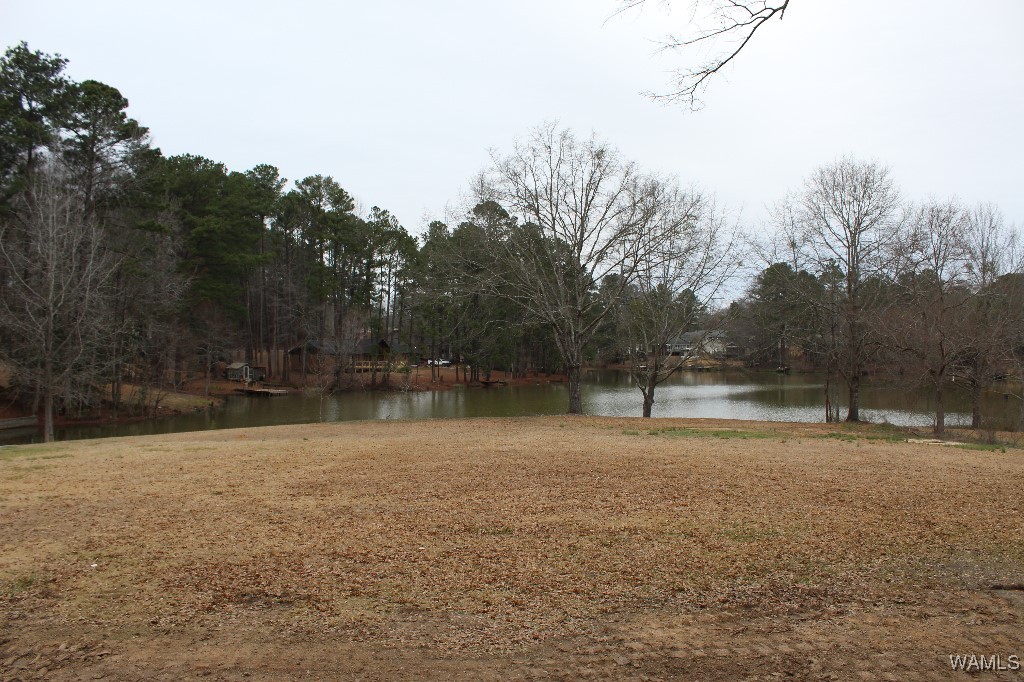 708 Sable Lane, North Port, Alabama image 34