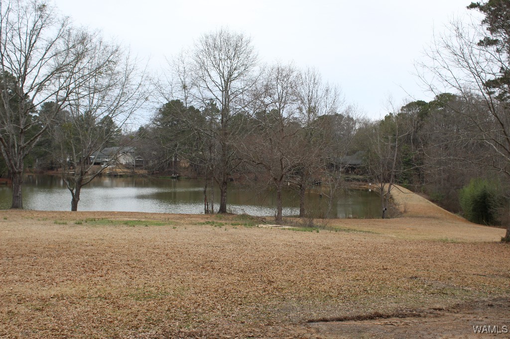 708 Sable Lane, North Port, Alabama image 37