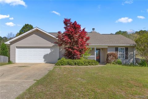 15913 Northwind Circle Northport AL 35475