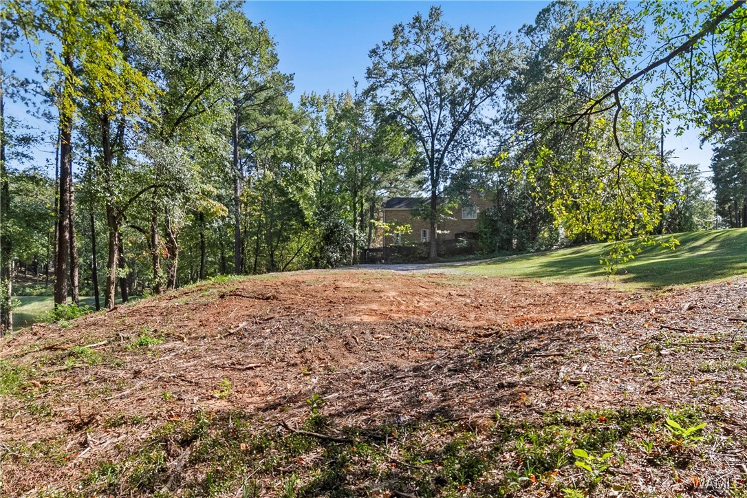 923 Overlook Road, Tuscaloosa, Alabama image 14